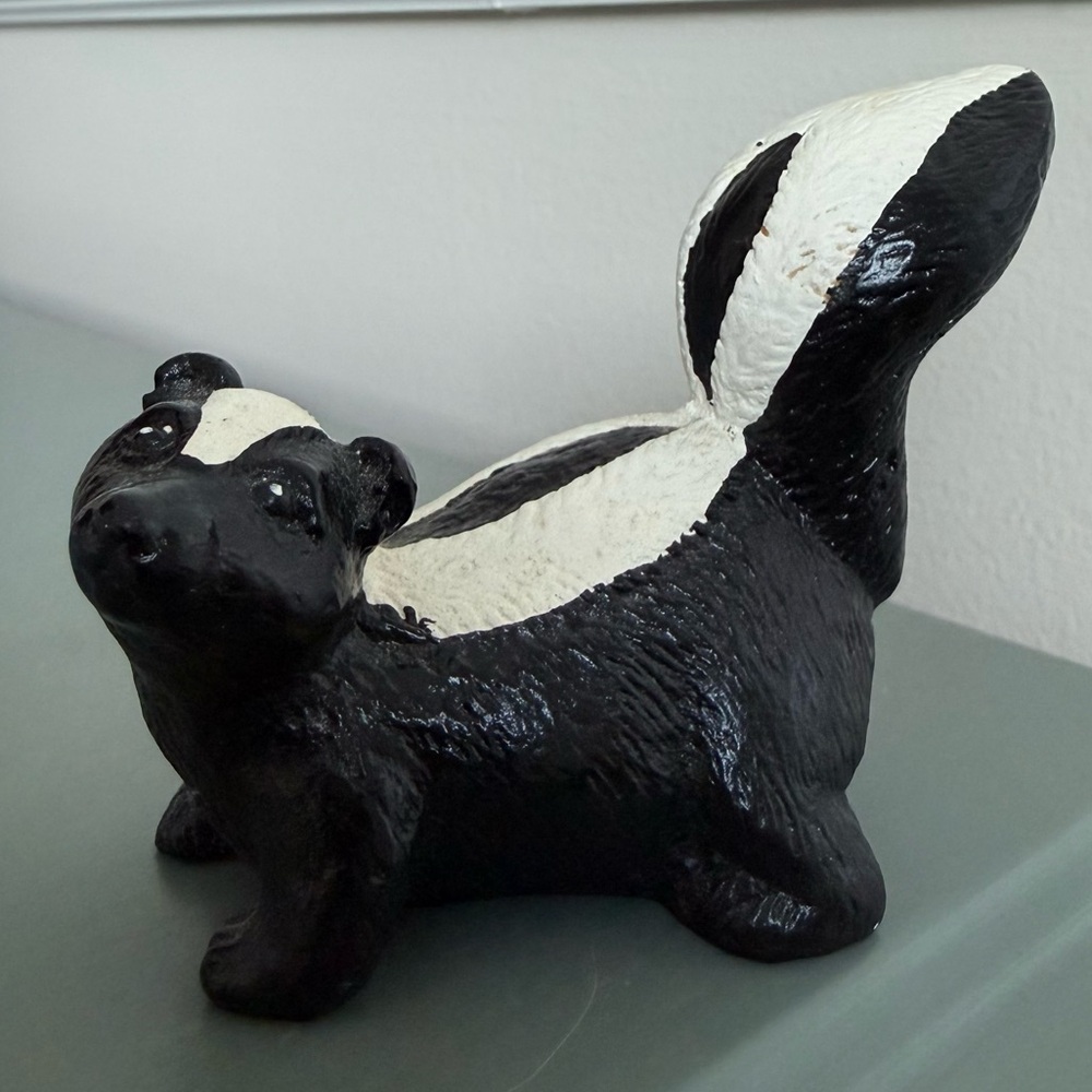 Cute skunk